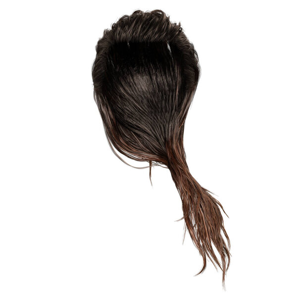 Brown long wet hair on isolated white background, 3D render, 3D illustration