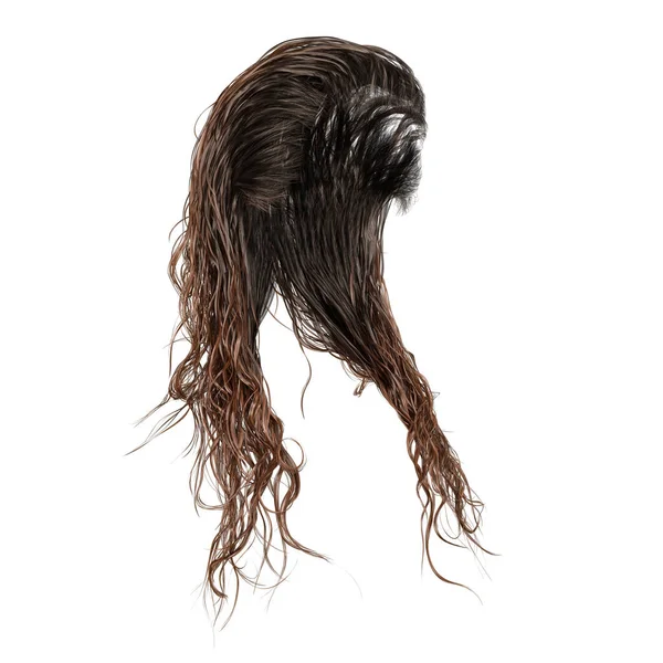 Hnědé Dlouhé Mokré Vlasy Izolovaném Bílém Pozadí Vykreslení Ilustrace — Stock fotografie