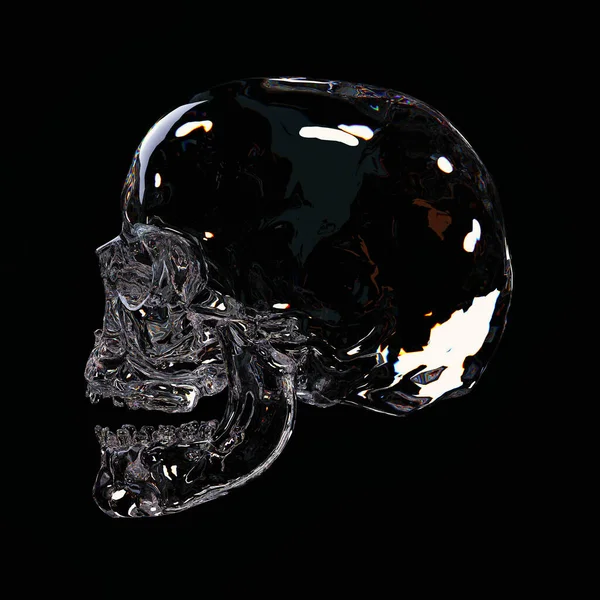 Delicate Crystal Skull Side View Illustration — Photo