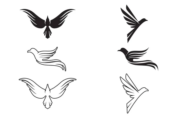 Modèle Logo Colombe Aile Oiseau Illustration Vectorielle — Image vectorielle