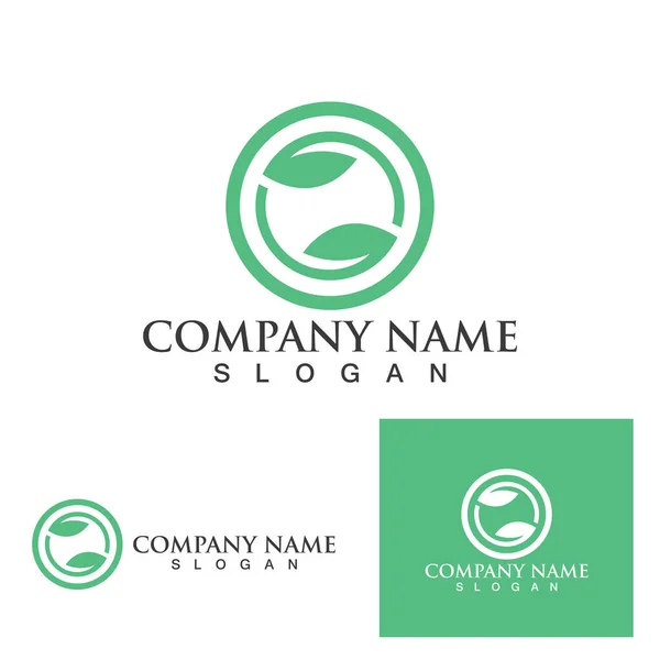 Logos Ecologia Folha Verde Elemento Vector Natureza —  Vetores de Stock