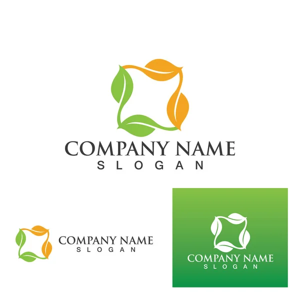 Green Clover Leaf Logo Template Design — Stock Vector
