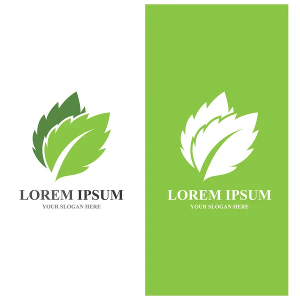 Liść Zielony Ekologia Natura Logo Element Wektor — Wektor stockowy