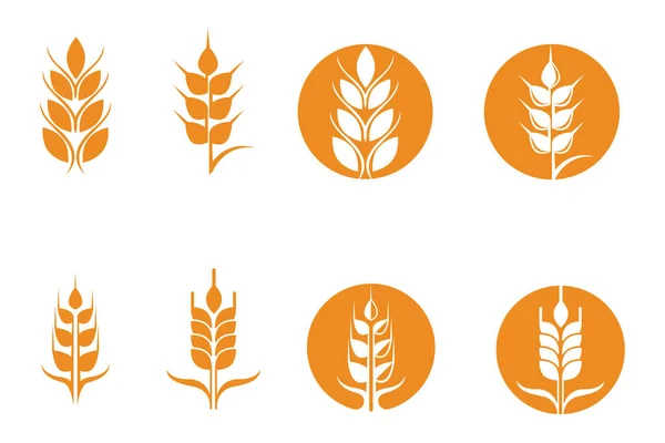 Agricultura Trigo Vector Icono Diseño — Archivo Imágenes Vectoriales