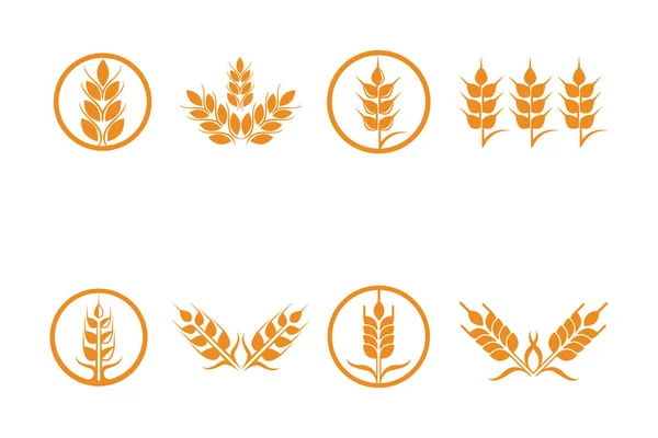 Agricultura Trigo Vector Icono Diseño — Archivo Imágenes Vectoriales