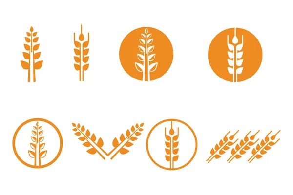農業用小麦ベクトルのアイコンデザイン — ストックベクタ