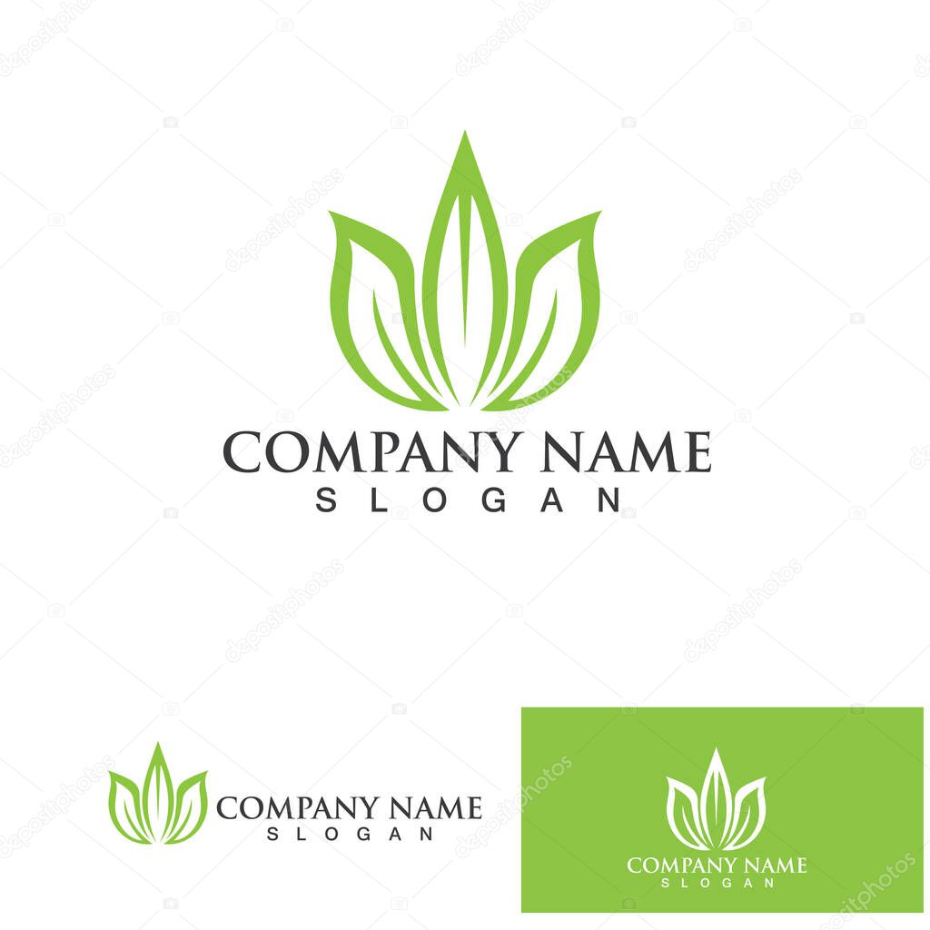 Leaf green logo and symbol vector template