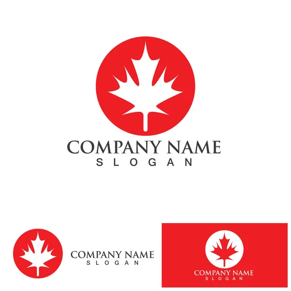 Maple Leaf Logo Vector Illustration Design Template — Stock Vector