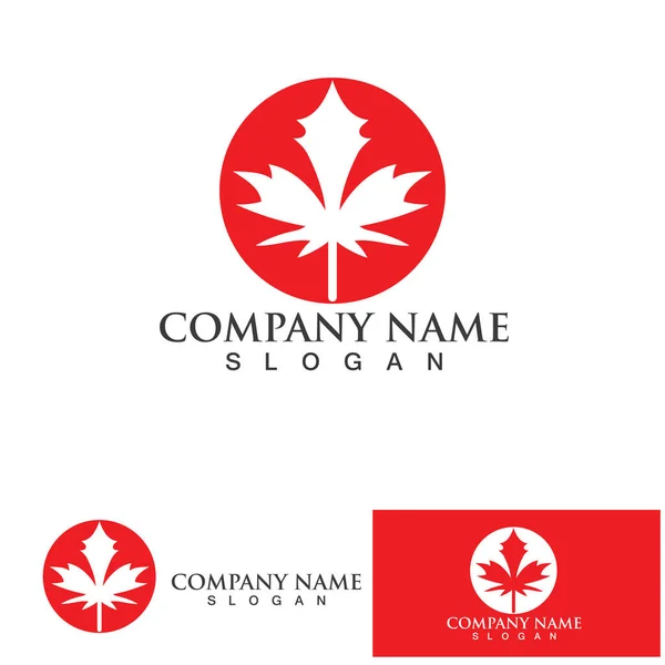 Maple Leaf Logo Vector Illustration Design Template — Stock Vector