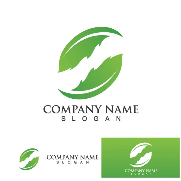 Grön Bladekologi Logotyp Natur Element Vektor — Stock vektor