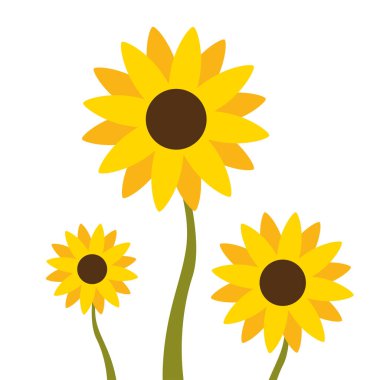 Ayçiçeği ve yapraklar beyaz arka planda düz bir vektörde. Sancak, arkaplan ve tebrik kartı için ayçiçeği hakkında ilüzyon.