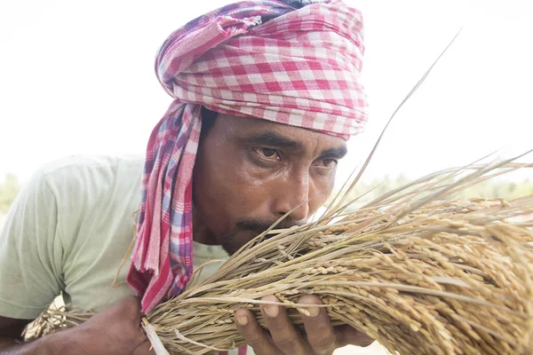 Indian Rural man  Showing Thumb Up In Agricultural Field