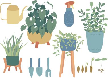 Ev içi bitkiler, el çizimi çizimleri. Sulama kutusu, sprey, bahçe aletleri, tohumlar, tohum gelişimi. Düz stil. Vektör illüstrasyonu.