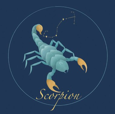 Zodiac, Akrep burcunun sembolünü imzaladı. Mistik astroloji elementleri. Altın iğnesi ve pençeleri olan yeşil akrep. Takımyıldızı Akrep. Takvim, kartlar, pankartlar ve diğer projeler için resim.