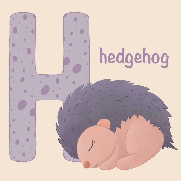 Alphabet For Kids. The hedgehog is sleeping. Zoo alphabet. A-Z Animal alphabet. Funny cartoon animal isolated on beige background. Kids education poster. For children learning English vocabulary — ストック写真