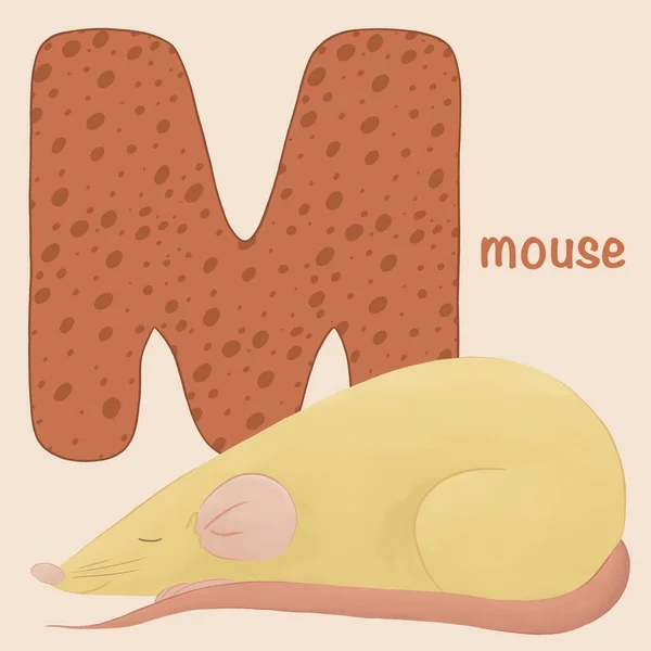 子供用のアルファベットカード 教育就学前学習マウスと大きな文字でAbcカードM かわいい野生動物や英語の単語とフラッシュカード 漫画のイラスト Abcセット 高品質のイラスト — ストック写真