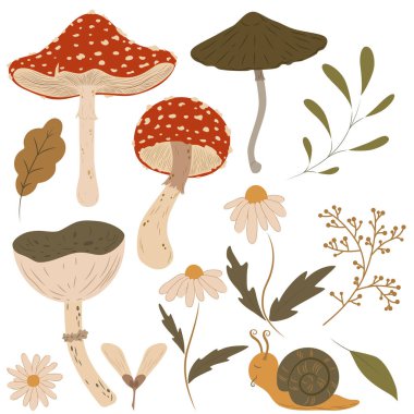 Forest plants clipart collection. Wild botanical set. Hand drawn woodland trees, herbs, mushrooms, flowers, branches, berries, leaves.Vector cartoon illustration. Organic porcini and poisonous fungus