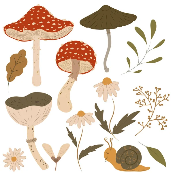 Forest Plants Clipart Collection Wild Botanical Set Hand Drawn Woodland — Stockový vektor