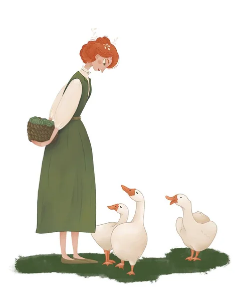若い赤髪の女の子は彼女の背中の後ろに3つのガチョウからキャベツのバスケットを隠します 夏の養鶏場でのGeese Birdsのキャラクターケア 農業週末のレクリエーション かわいい漫画イラスト — ストック写真