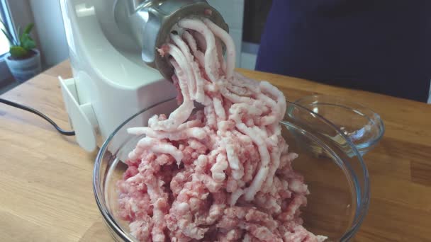 Het maken van zelfgemaakte gegrilde worst van gehakt vlees. — Stockvideo