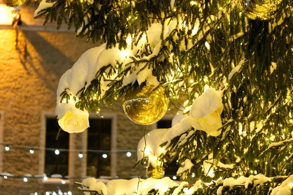 Tallinn 'in merkezinde süslenmiş Noel ağacı. Işıkları karla kaplı Noel ağacı. — Stok fotoğraf