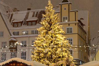 Tallinn 'in merkezinde süslenmiş Noel ağacı. Işıkları karla kaplı Noel ağacı.
