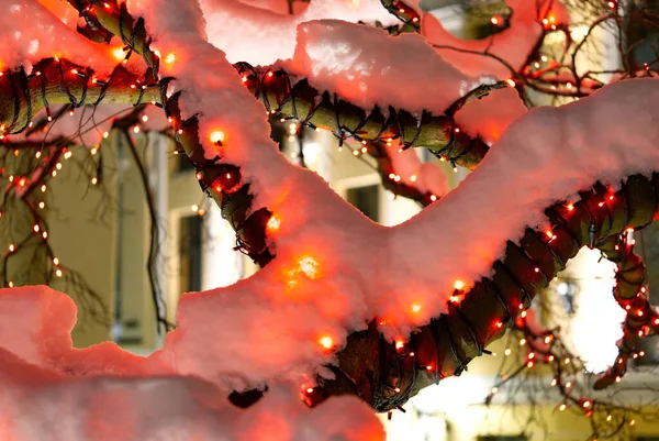 Decorative outdoor lights hanging on tree in old town of City at night time. — 图库照片