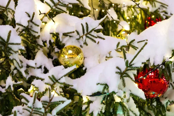 Tallinn 'in merkezinde süslenmiş Noel ağacı. Işıkları karla kaplı Noel ağacı. — Stok fotoğraf