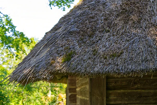 An old house with a thatched roof. ancient technology of house construction — Foto de Stock
