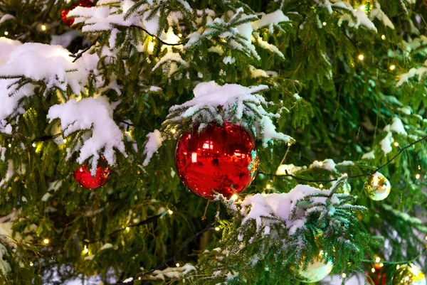 Tallinn 'in merkezinde süslenmiş Noel ağacı. Işıkları karla kaplı Noel ağacı. — Stok fotoğraf