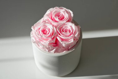 Tencerede el yapımı pembe güller, odada çiçek dekoru. Kapat.