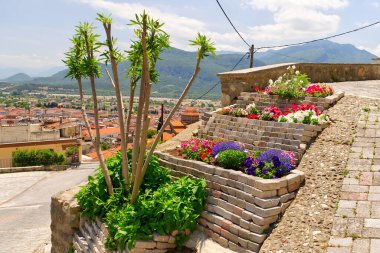 Yunanca pembe çiçekli güzel bir ağaç. Arka planda ağaç ve dağlar olan sokak Kalabaka şehri. Kapat.