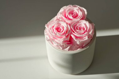 Tencerede el yapımı pembe güller, odada çiçek dekoru. Kapat.