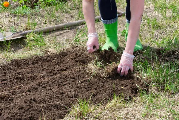 Handen Die Zijn Tuin Vrijmaken Van Een Oud Gras Bereidt — Stockfoto