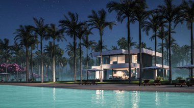 Havuzu ve satılık park yeri olan ya da deniz ya da okyanus kenarında lüks tarzda kiralanan modern konforlu bir ev. Tropikal adada palmiye ağaçları ve çiçeklerle masmavi sahilde yıldız ışığı gecesi