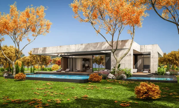 Rendering New Concrete House Modern Style Pool Parking Sale Rent — Foto de Stock