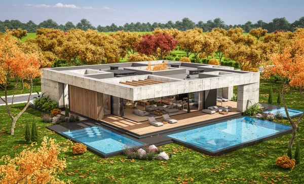 Rendering New Concrete House Modern Style Pool Parking Sale Rent — ストック写真