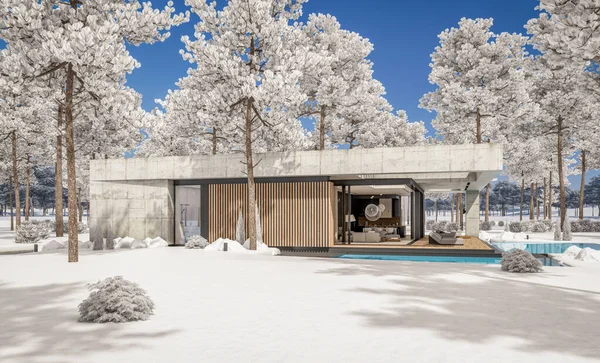 양식의 새로운 하우스 렌더링 임대료 아름다운 조경을 배경으로 내리는 겨울날 — 스톡 사진