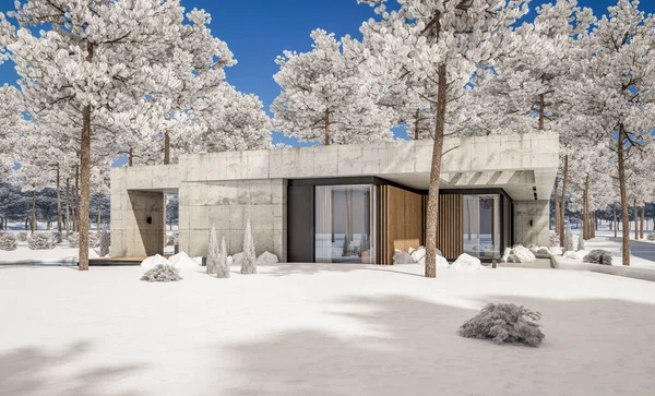 양식의 새로운 하우스 렌더링 임대료 아름다운 조경을 배경으로 내리는 겨울날 — 스톡 사진