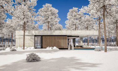 Modern tarzda yeni beton bir ev, havuz, park yeri ya da kira ve arka planda güzel bir peyzaj. Evin sadece bir katı var. Parlak beyaz karlı serin bir kış günü.