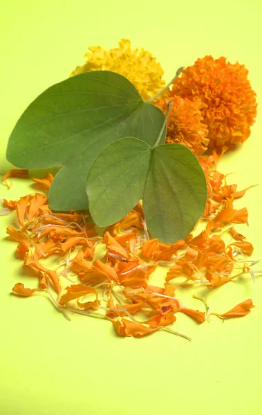 Dussehra Hint Festivali Sarı Arka Planda Yeşil Yapraklar Taç Yapraklarını — Stok fotoğraf
