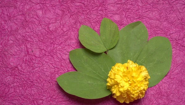 인도의 축제에서는 보라색 배경에 꽃잎이 나타난다 인사장 — 스톡 사진