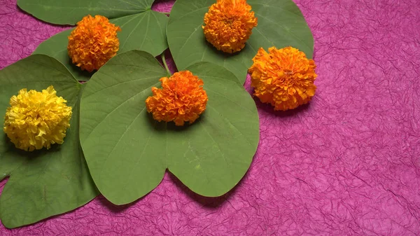 Индийский Фестиваль Dussehra Показывающий Зеленые Листья Лепестки Фиолетовом Фоне Открытка — стоковое фото