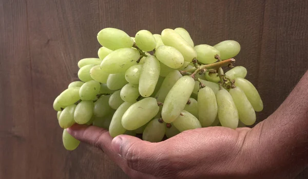 Природный Органический Сочный Зеленый Виноград Крупный План — стоковое фото