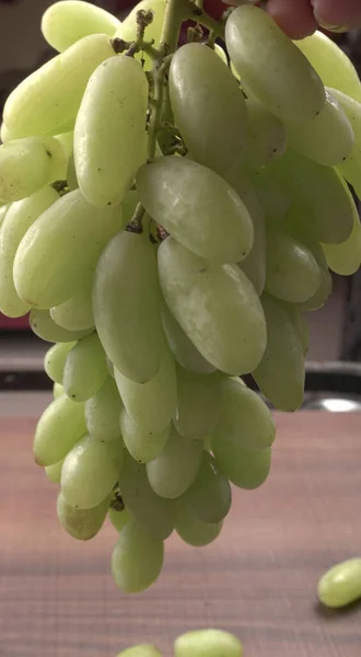 Природный Органический Сочный Зеленый Виноград Крупный План — стоковое фото