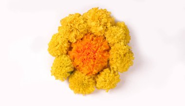 Marigold 'un sarı çiçekleri beyaz arkaplanda izole edilmiş..