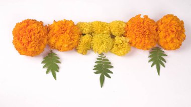 Beyaz arka planda yeşil yapraklı sarı Marigold çiçekleri.