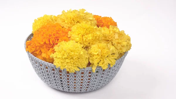Купа Жовтих Квітів Меріголда Ізольована Білому Тлі — стокове фото
