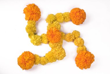 Marigold 'un sarı çiçekleri beyaz arkaplanda izole edilmiş..