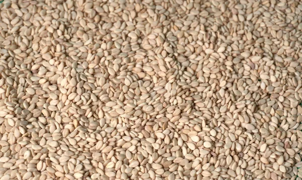 Pile White Beans Green Background — Stock Photo, Image